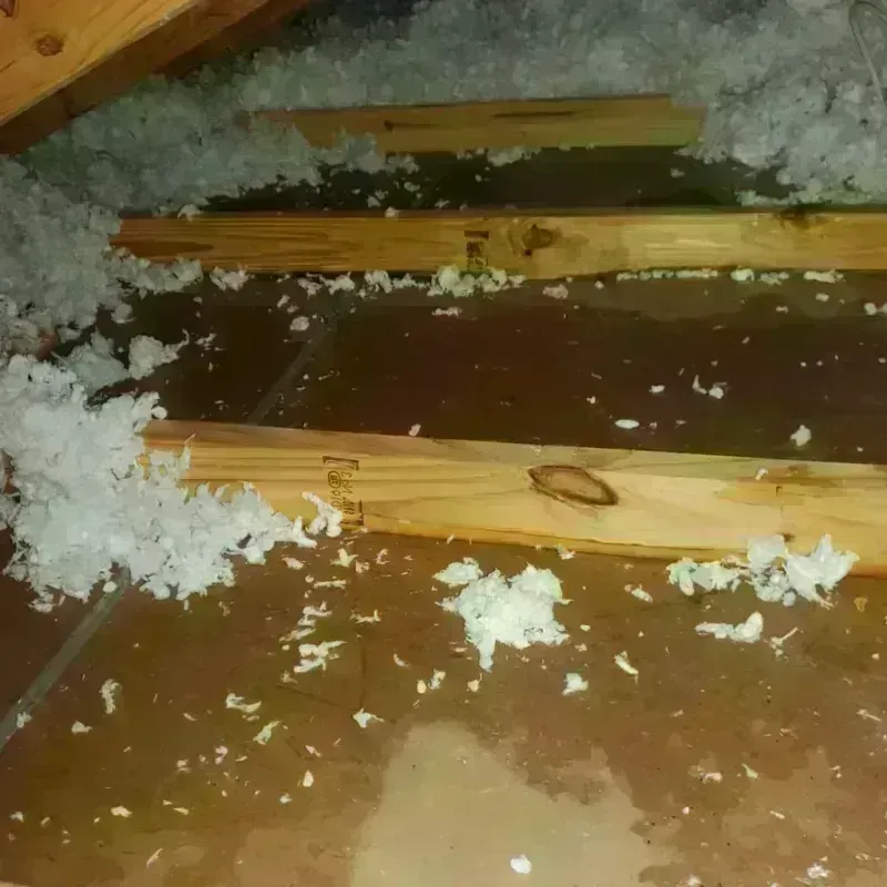 Attic Water Damage in Chapel Hill, TN